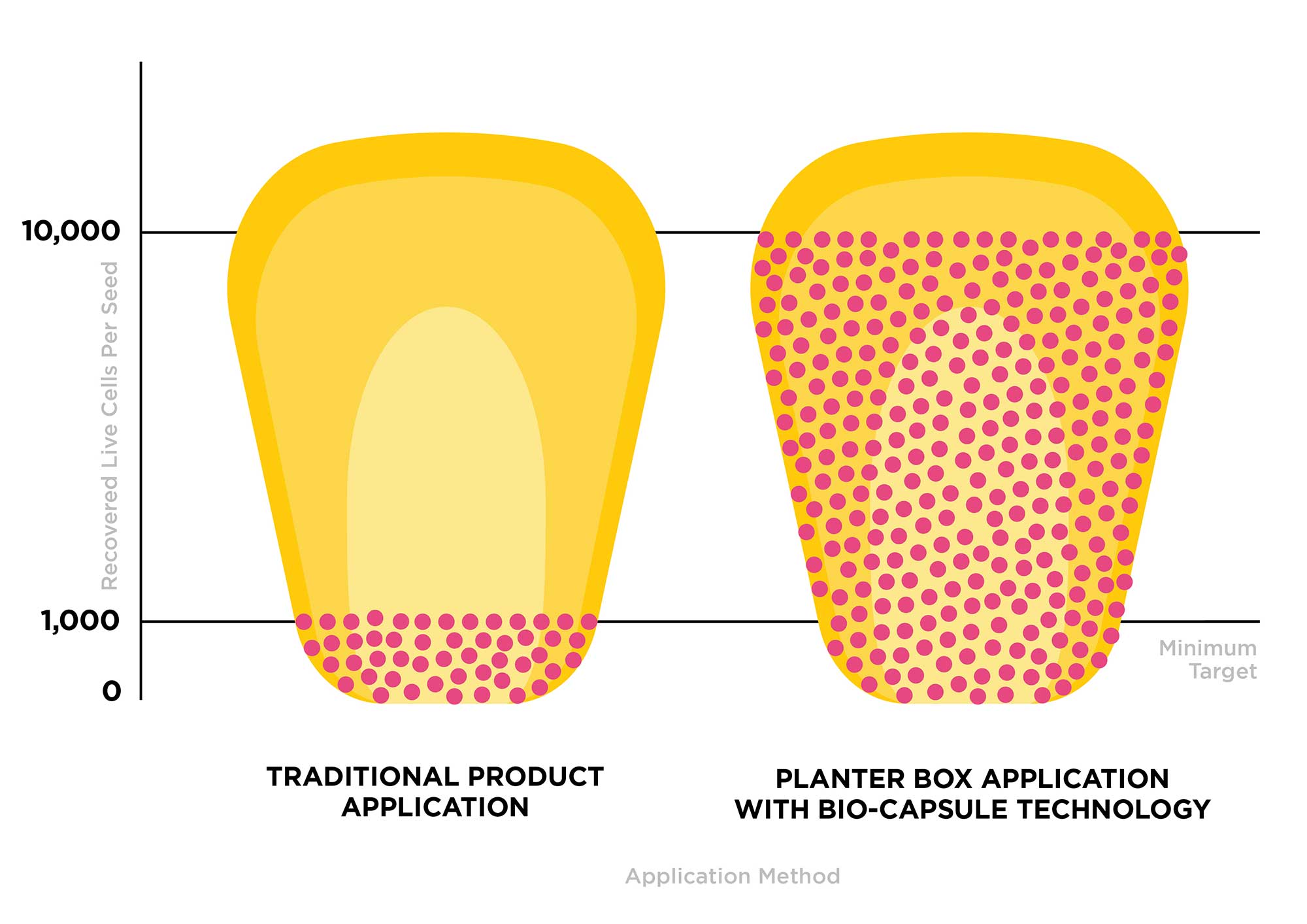 Xnip2024-11-06_12-42-45