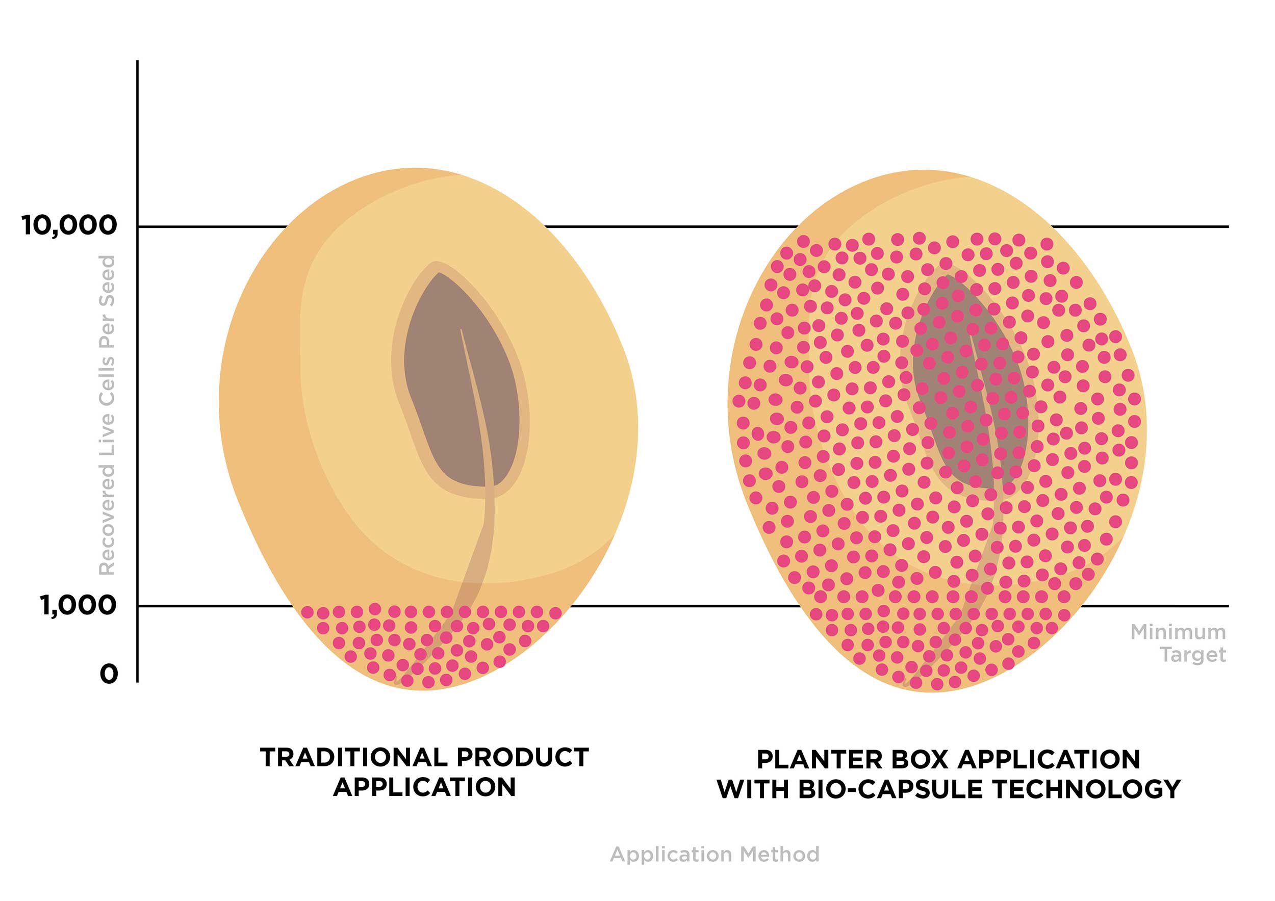 Xnip2024-11-06_12-42-45